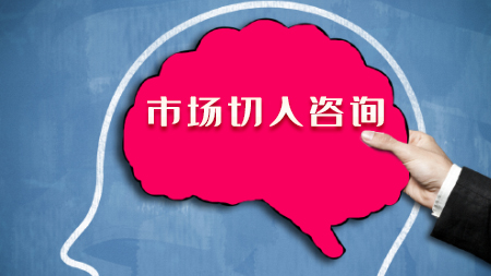 市場切入咨詢