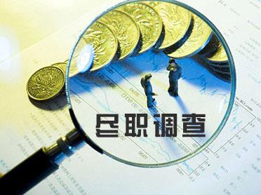 盡職調查咨詢
