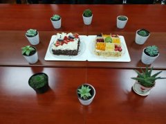 華諾信誠慶2019年“三八”節活動